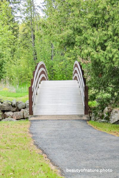 Bridge 7 Vertical
