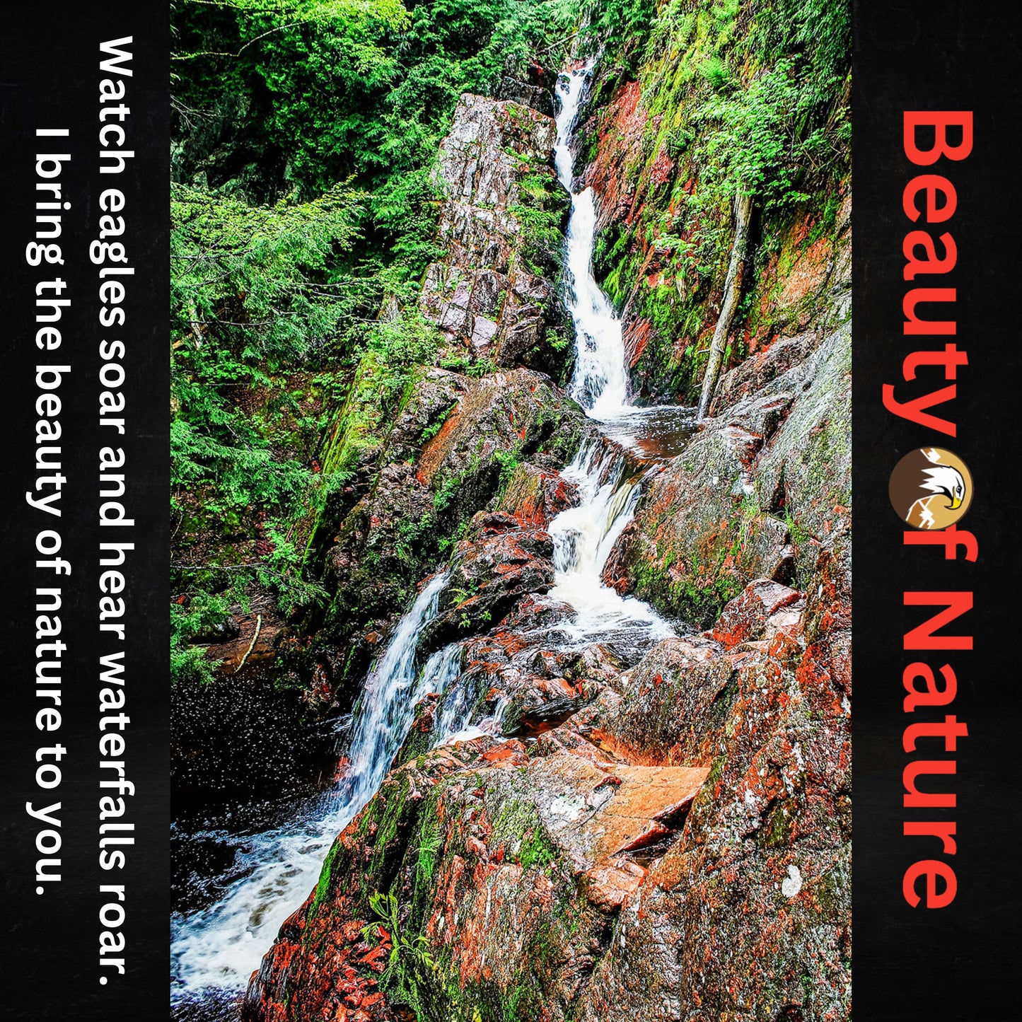 AAAA Adult Tee Vertical Template Beauty of Nature