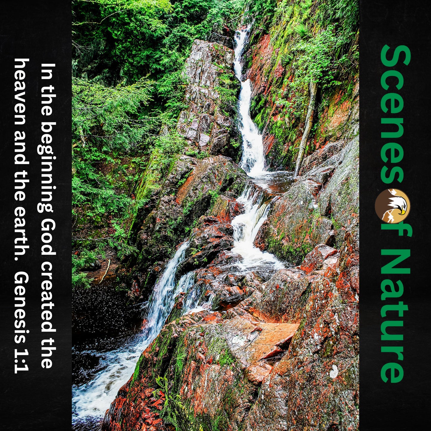 AAAA Adult Tee Vertical Template Scenes of Nature