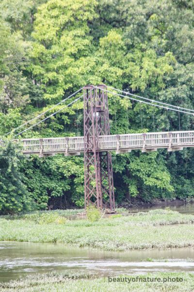 Bridge 10 Vertical