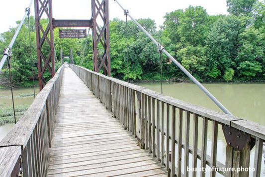 Bridge 11 Horizontal