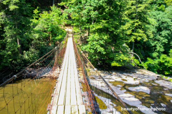 Bridge 3 Horizontal