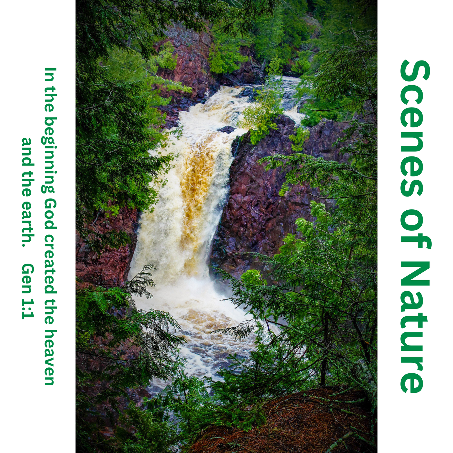 Adult T-shirt Comfort Colors 1717 Scenes of Nature Front Only