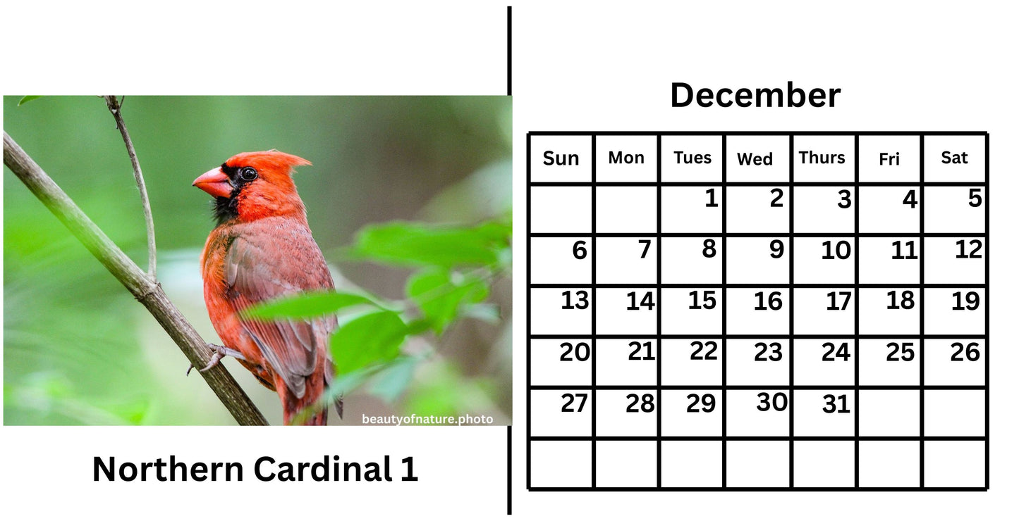 2026 Desk Calendar