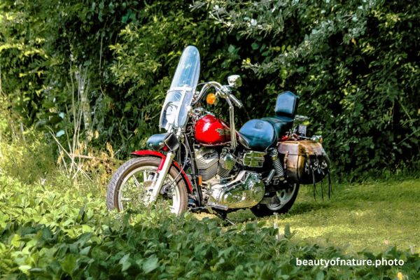 Harley Davidson Portrait 15-2 Horizontal