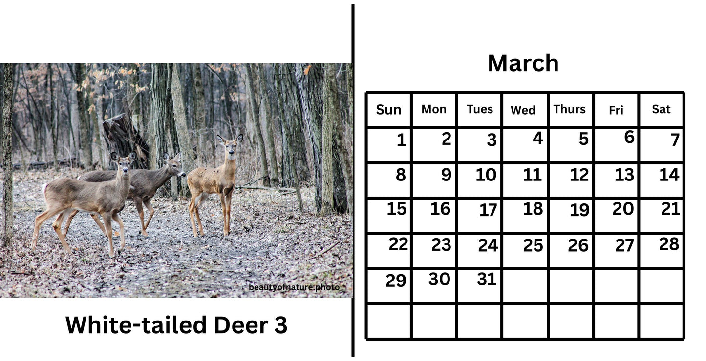 2026 Desk Calendar