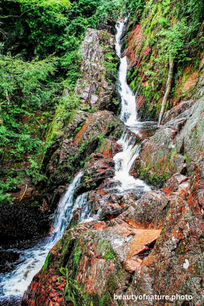 Morgan Falls Vertical