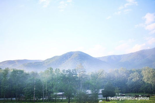 Mountain 2 Horizontal