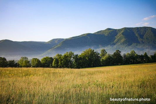 Mountain 4 Horizontal