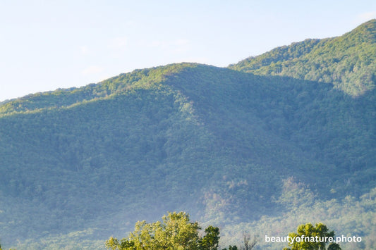 Mountain 6 1500X1000