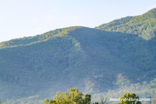 Mountain 6 Horizontal