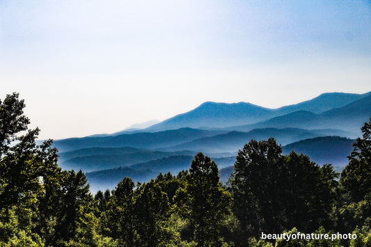 Mountain 8 1500X1000