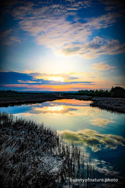 Reflection 1 Vertical
