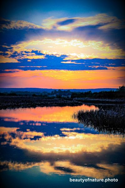 Reflection 2 Vertical
