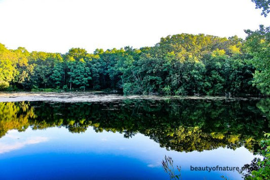 Reflection 3 Horizontal